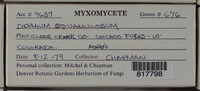 Image Associated With the Occurence
